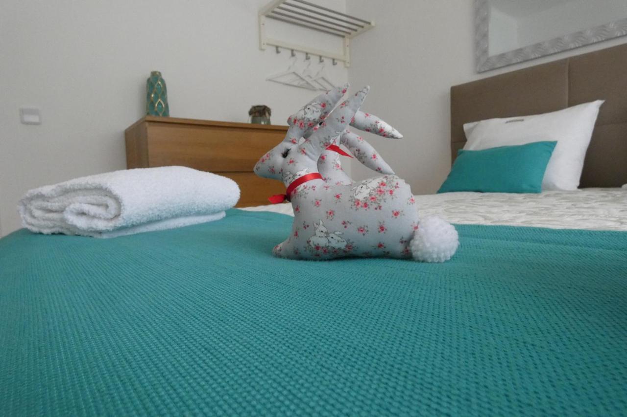 Casa Sandra - Apartamento Carlota Lousã Dış mekan fotoğraf