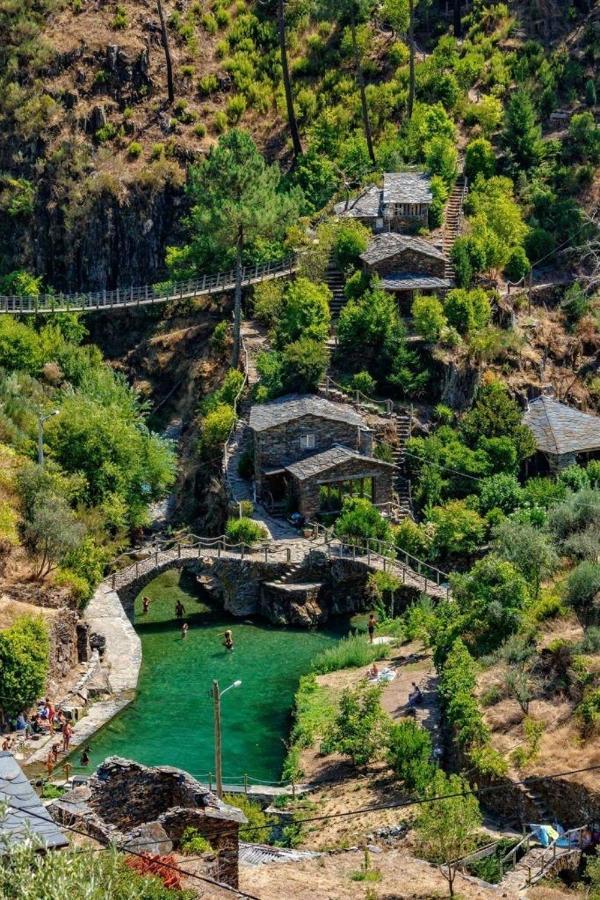 Casa Sandra - Apartamento Carlota Lousã Dış mekan fotoğraf