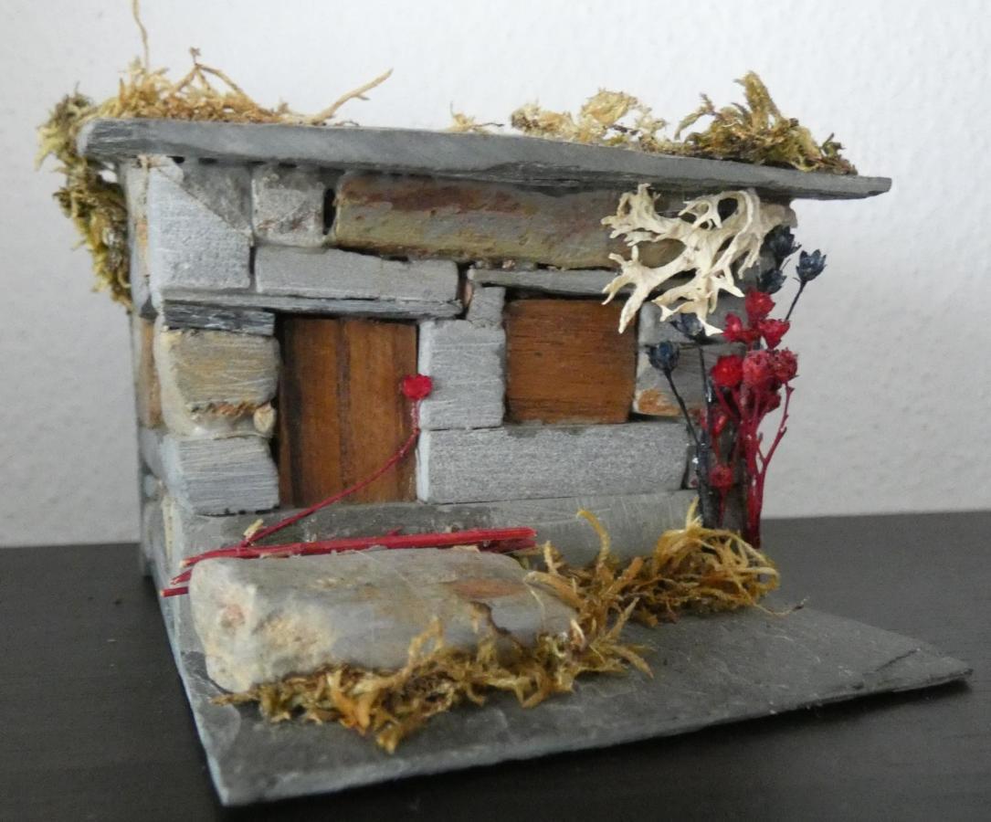 Casa Sandra - Apartamento Carlota Lousã Dış mekan fotoğraf