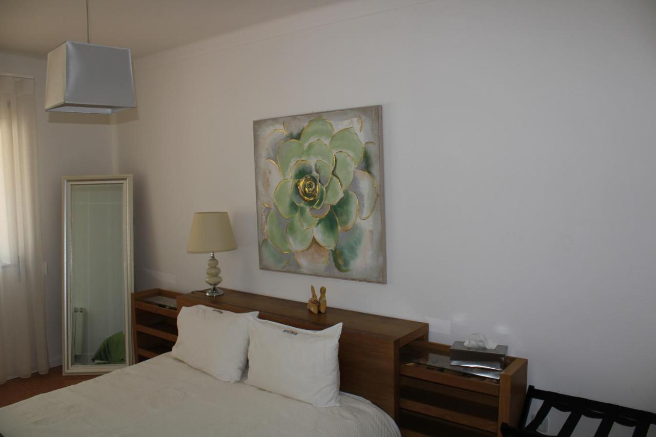Casa Sandra - Apartamento Carlota Lousã Dış mekan fotoğraf