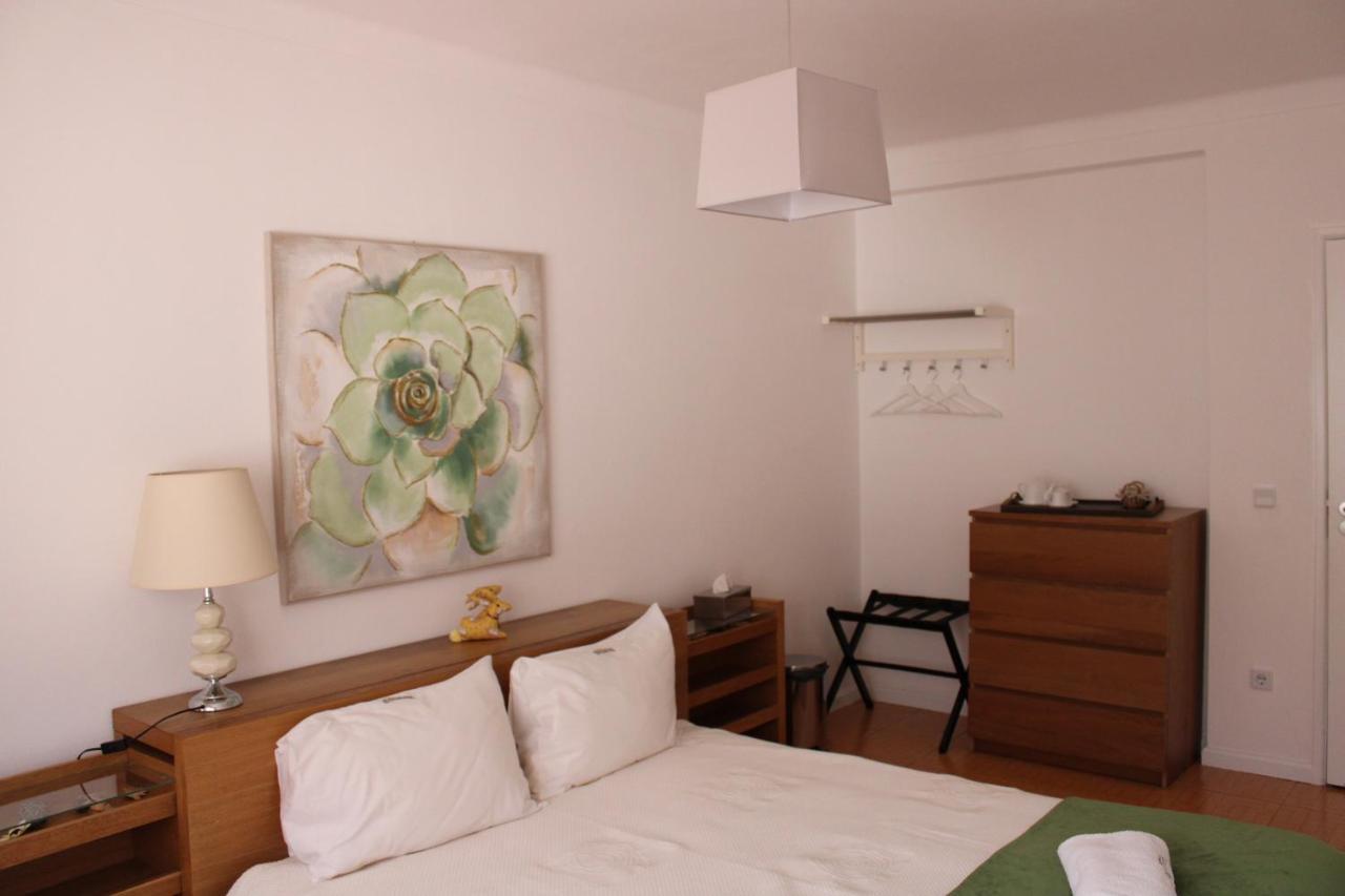 Casa Sandra - Apartamento Carlota Lousã Dış mekan fotoğraf